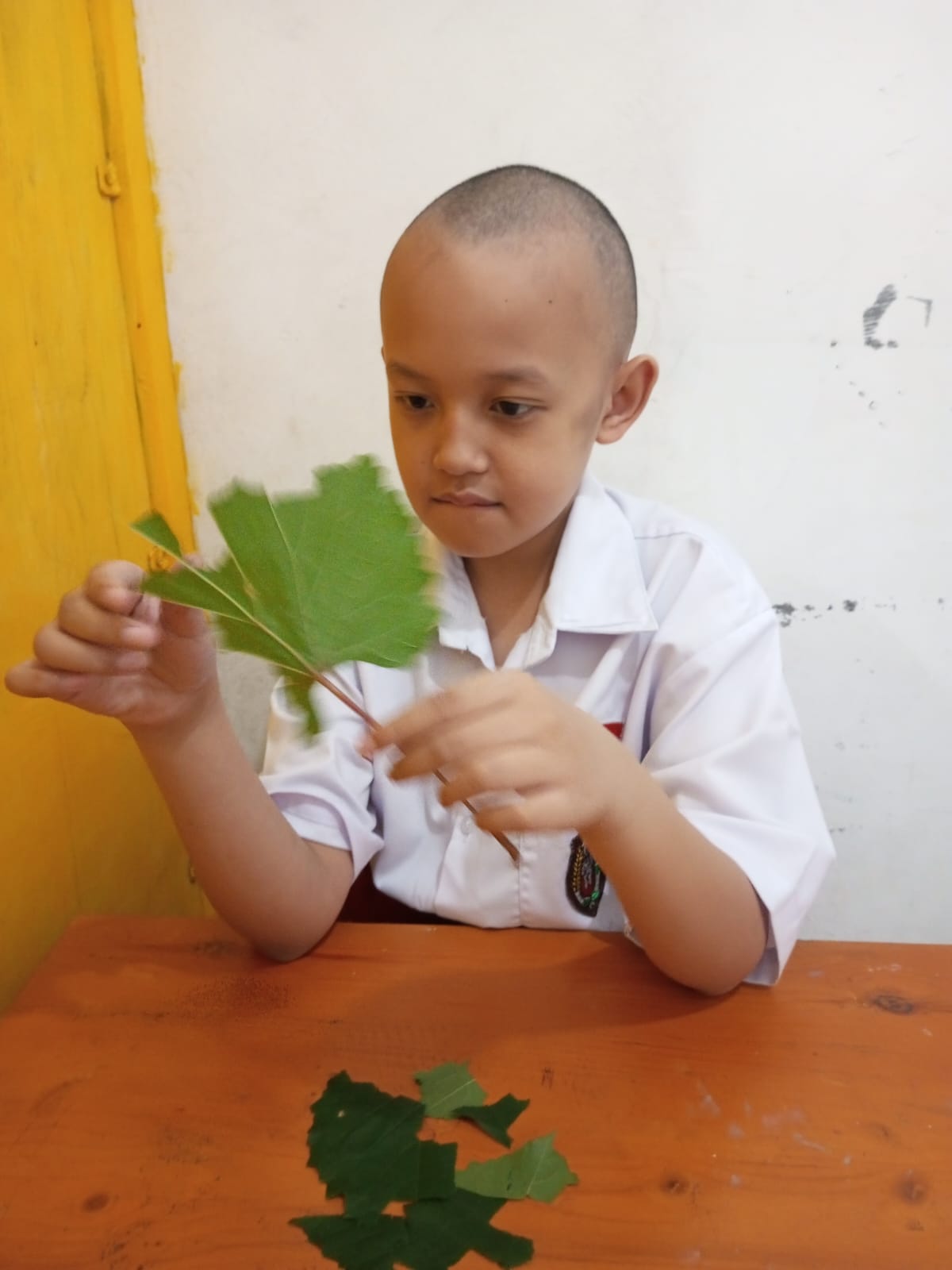 Dokumentasi Kegiatan Sekolahan 4